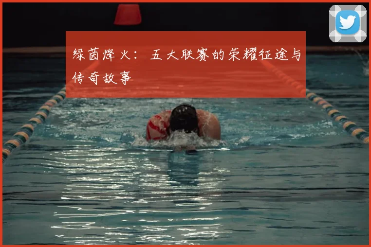 绿茵烽火：五大联赛的荣耀征途与传奇故事